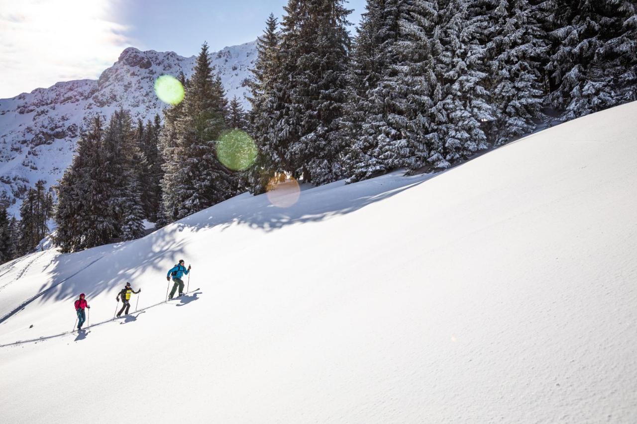 Das Stefan - Ferienwohnungen In Den Kitzbueheler Alpen Oberndorf in Tirol Dış mekan fotoğraf